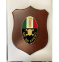 CREST E GAGLIARDETTI Y38