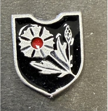 SPILLE, DISTINTIVI Z38