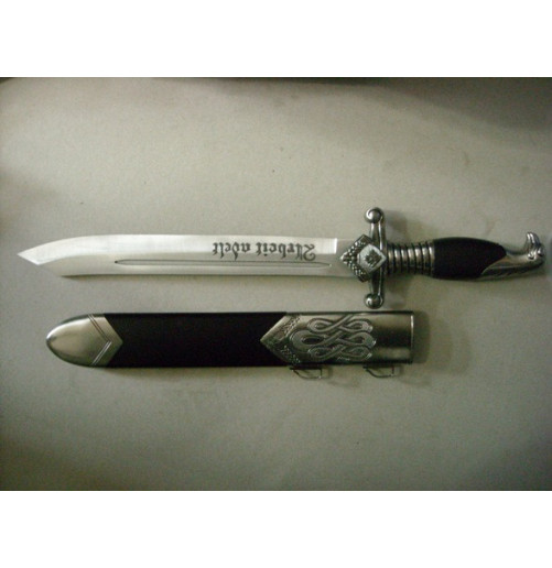 DAGHE, MANGANELLI R117