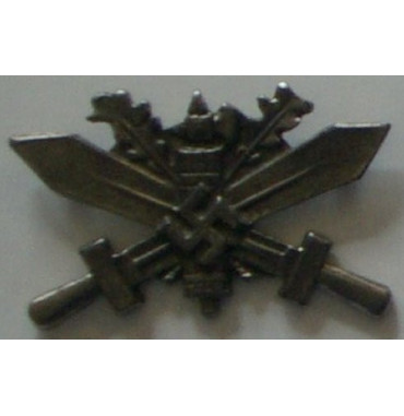 SPILLE, DISTINTIVI V19