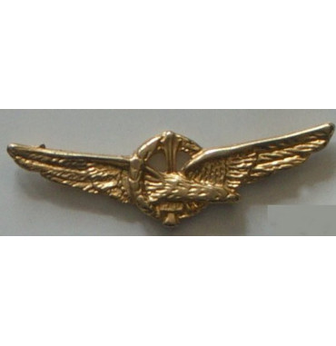 SPILLE, DISTINTIVI V21