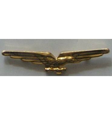 SPILLE, DISTINTIVI V22