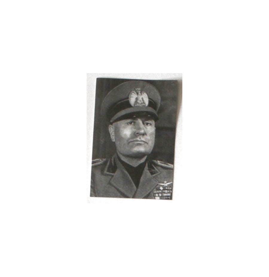 ADESIVI ED ETICHETTE W6