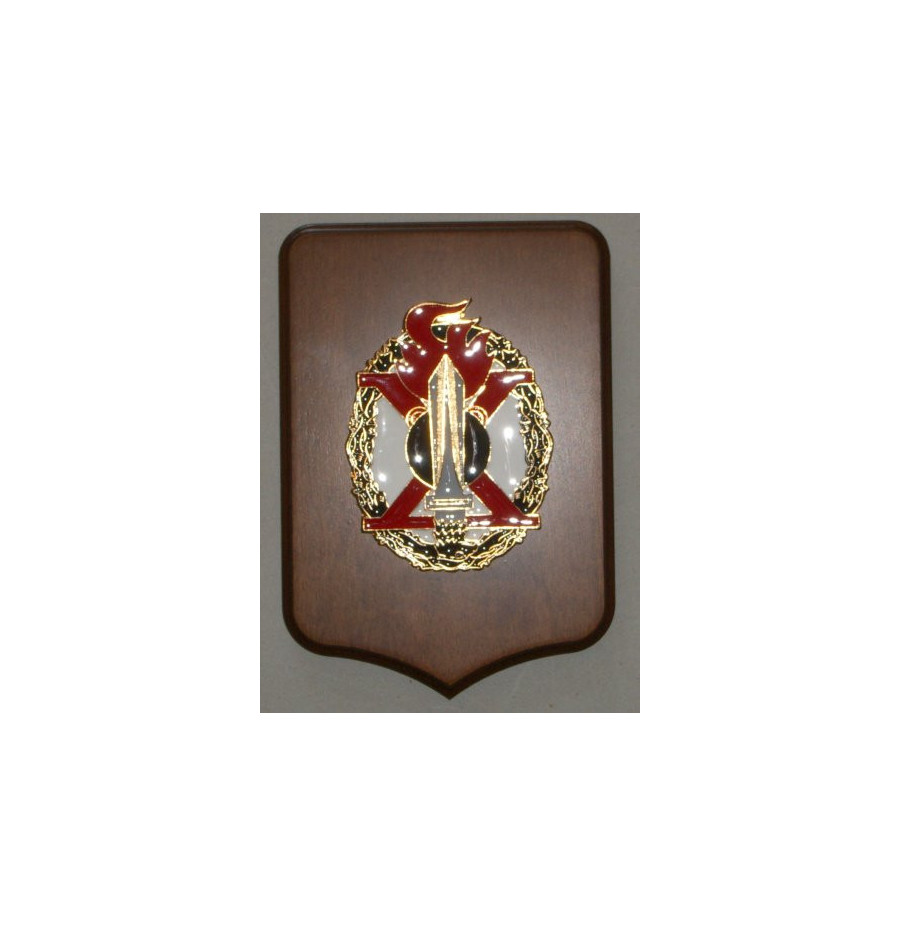 CREST E GAGLIARDETTI Y13