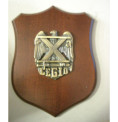 CREST E GAGLIARDETTI Y17