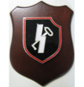 CREST E GAGLIARDETTI Y29